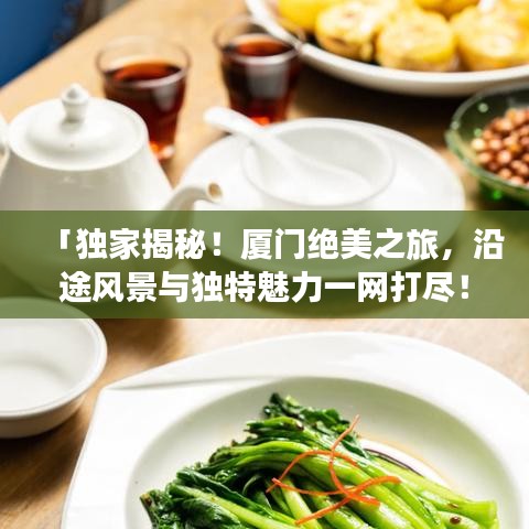 「独家揭秘！厦门绝美之旅，沿途风景与独特魅力一网打尽！」