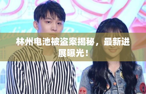 林州电池被盗案揭秘，最新进展曝光！