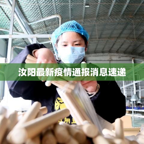 汝阳最新疫情通报消息速递