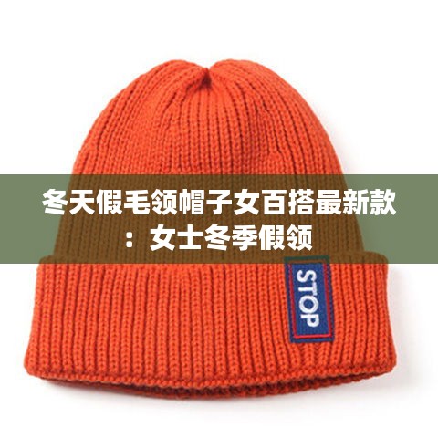 冬天假毛领帽子女百搭最新款：女士冬季假领 