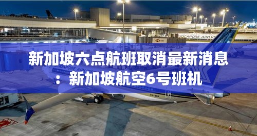 新加坡六点航班取消最新消息：新加坡航空6号班机 