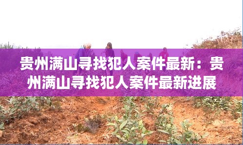 贵州满山寻找犯人案件最新：贵州满山寻找犯人案件最新进展 