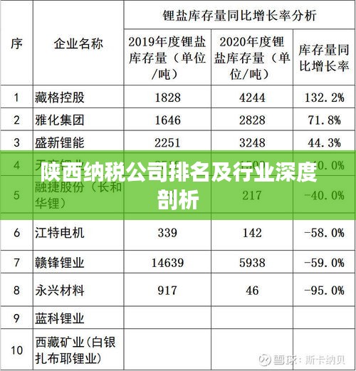 陕西纳税公司排名及行业深度剖析