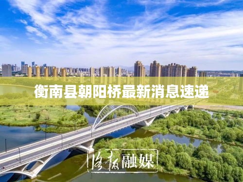 衡南县朝阳桥最新消息速递