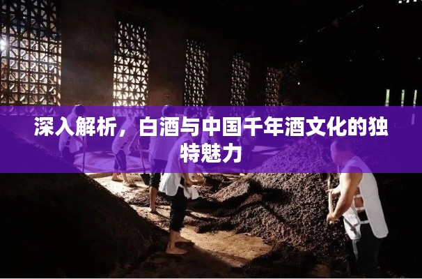 深入解析，白酒与中国千年酒文化的独特魅力
