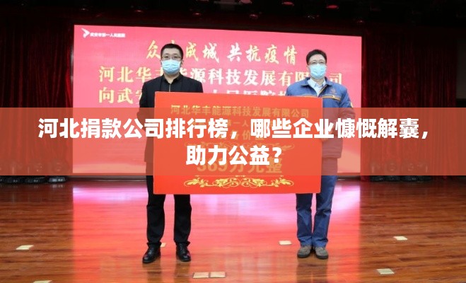 河北捐款公司排行榜，哪些企业慷慨解囊，助力公益？
