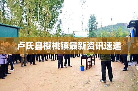 卢氏县樱桃镇最新资讯速递