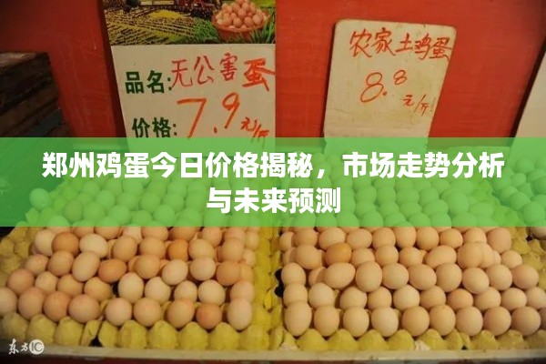 郑州鸡蛋今日价格揭秘，市场走势分析与未来预测