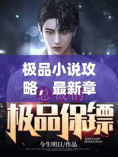 极品小说攻略，最新章节独家探秘