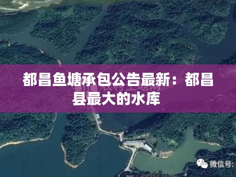 都昌鱼塘承包公告最新：都昌县最大的水库 