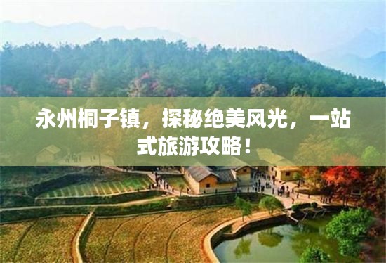 永州桐子镇，探秘绝美风光，一站式旅游攻略！