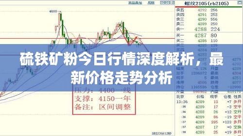 硫铁矿粉今日行情深度解析，最新价格走势分析
