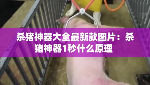 杀猪神器大全最新款图片：杀猪神器1秒什么原理 