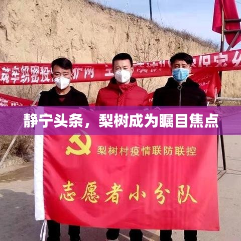 龙飞九五 第2页