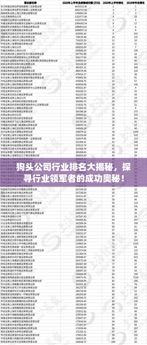 狗头公司行业排名大揭秘，探寻行业领军者的成功奥秘！
