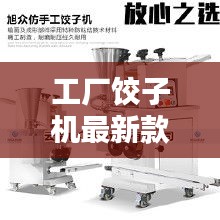 工厂饺子机最新款商用：饺子工厂的视频 