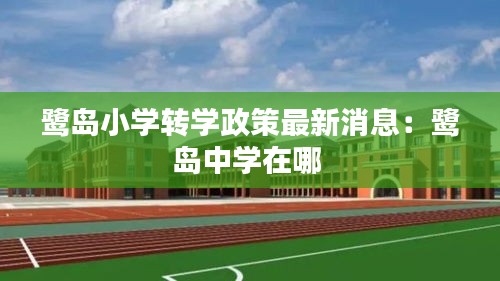 鹭岛小学转学政策最新消息：鹭岛中学在哪 