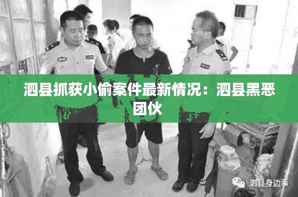 泗县抓获小偷案件最新情况：泗县黑恶团伙 