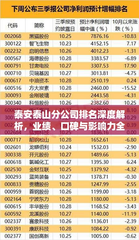 泰安泰山分公司排名深度解析，业绩、口碑与影响力全解析