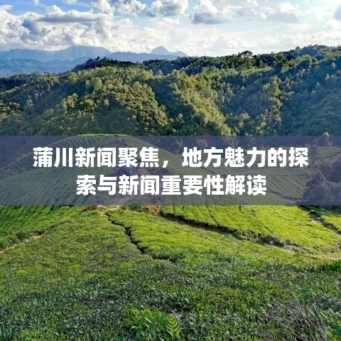 蒲川新闻聚焦，地方魅力的探索与新闻重要性解读