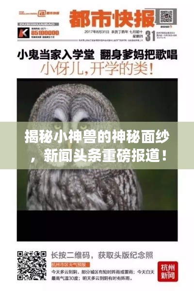 揭秘小神兽的神秘面纱，新闻头条重磅报道！