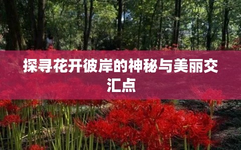 探寻花开彼岸的神秘与美丽交汇点