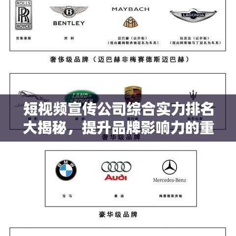 短视频宣传公司综合实力排名大揭秘，提升品牌影响力的重要伙伴！