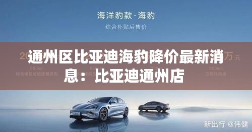 雍容华贵 第2页