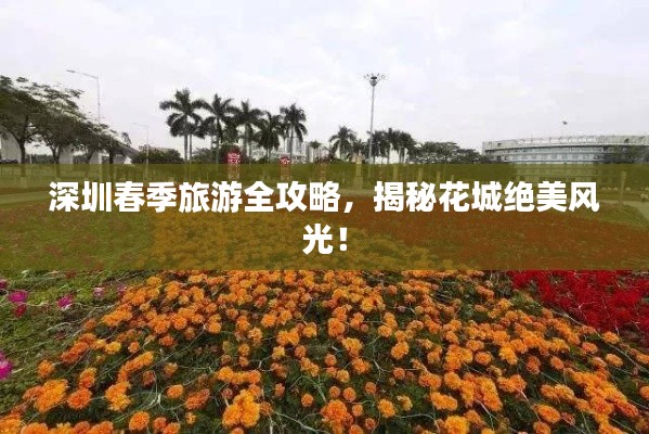 深圳春季旅游全攻略，揭秘花城绝美风光！