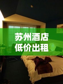 苏州酒店低价出租房子最新消息：苏州住宿酒店 