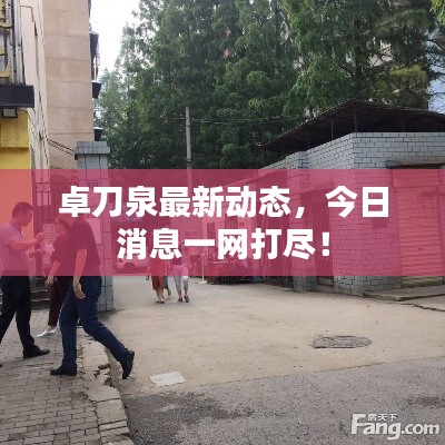 卓刀泉最新动态，今日消息一网打尽！
