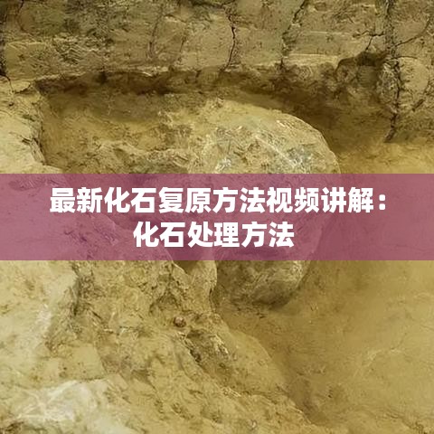 最新化石复原方法视频讲解：化石处理方法 
