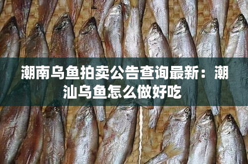 潮南乌鱼拍卖公告查询最新：潮汕乌鱼怎么做好吃 