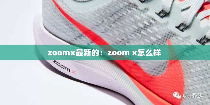 zoomx最新的：zoom x怎么样 