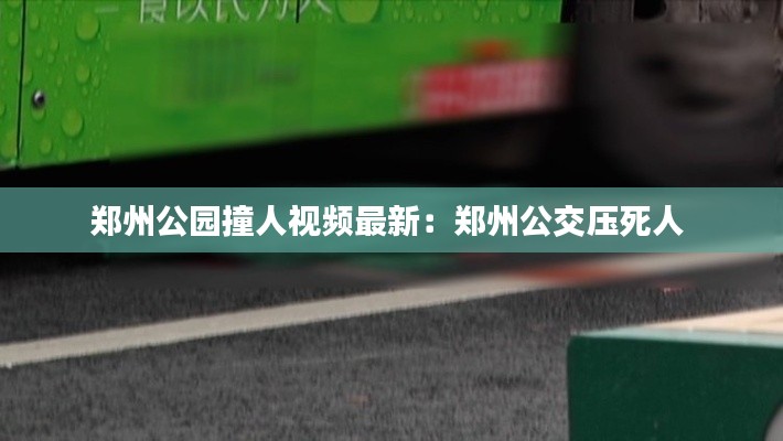 郑州公园撞人视频最新：郑州公交压死人 