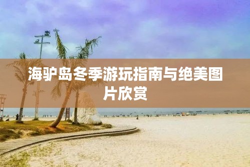 海驴岛冬季游玩指南与绝美图片欣赏