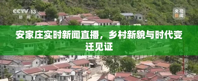 安家庄实时新闻直播，乡村新貌与时代变迁见证