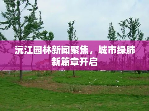 沅江园林新闻聚焦，城市绿肺新篇章开启