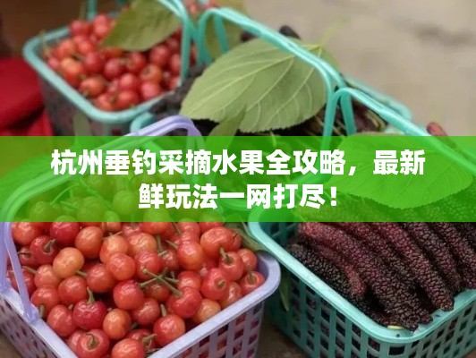 杭州垂钓采摘水果全攻略，最新鲜玩法一网打尽！