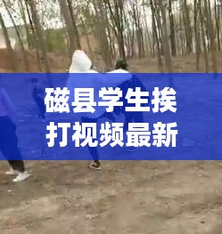 走马观花 第2页