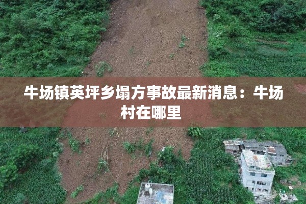 牛场镇英坪乡塌方事故最新消息：牛场村在哪里 