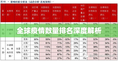 全球疫情数量排名深度解析