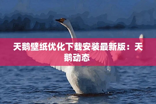 天鹅壁纸优化下载安装最新版：天鹅动态 