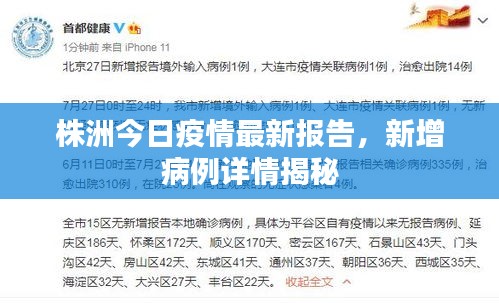 株洲今日疫情最新报告，新增病例详情揭秘