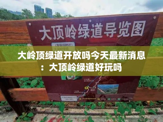 大岭顶绿道开放吗今天最新消息：大顶岭绿道好玩吗 