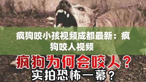 疯狗咬小孩视频成都最新：疯狗咬人视频 