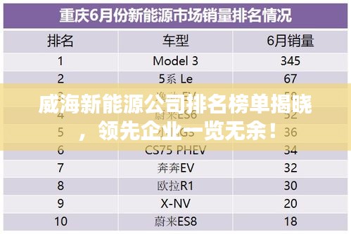 威海新能源公司排名榜单揭晓，领先企业一览无余！