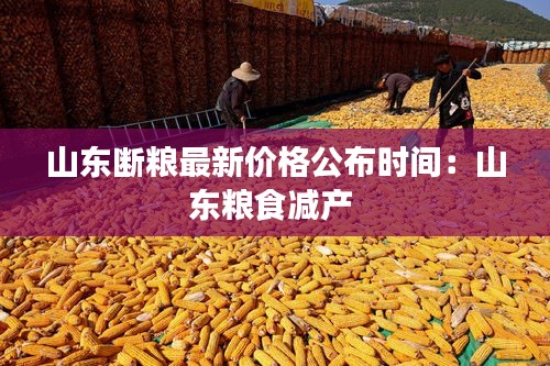 望其项背 第2页