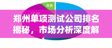 郑州单项测试公司排名揭秘，市场分析深度解读