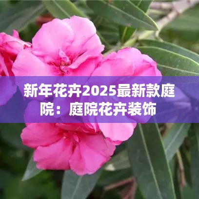 新年花卉2025最新款庭院：庭院花卉装饰 